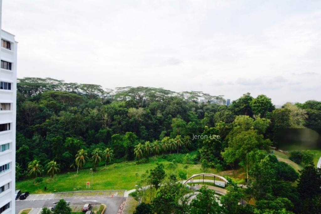 Blk 116 Clementi Street 13 (Clementi), HDB Executive #152869512